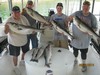 (08/28/2016) - Nice Striped Bass